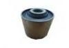 Suspension Bushing:50810-SM4